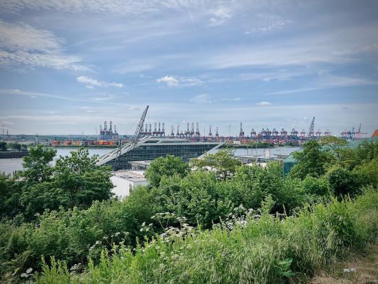 Blick auf die Norderelbe in Hamburg-Altona