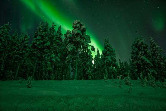 Polarlicht – Sony Alpha 7S II, 20 mm, f1.4, 1,3 sec., ISO 1000