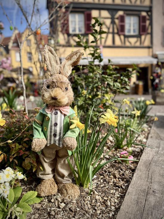 Colmar, Frankreich