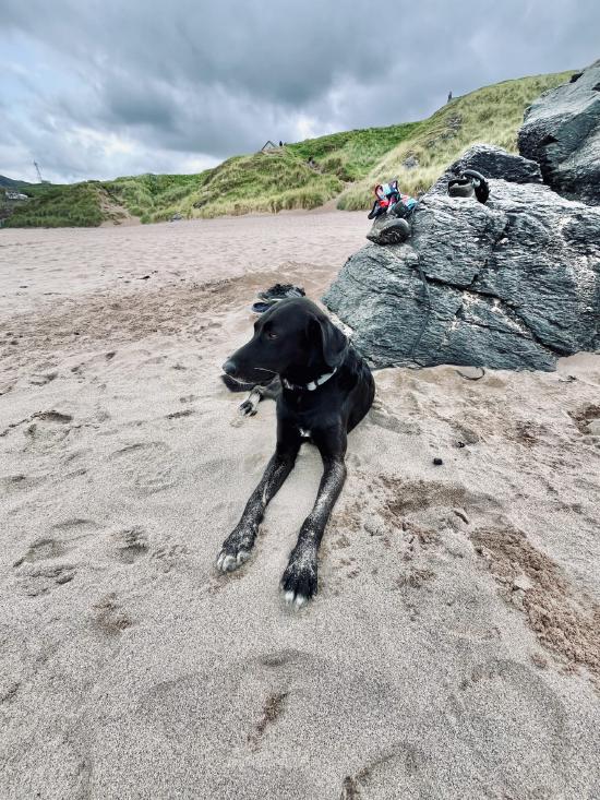 Pauli am Strand in Durness