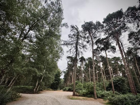 Waldparkplatz, Shefford – Chicksands, England