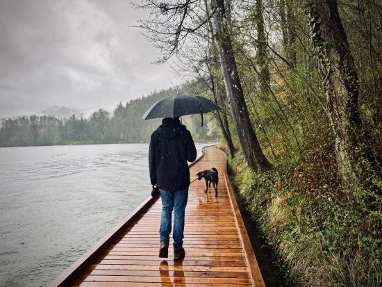 Holzsteg am Ufer des Bleder Sees