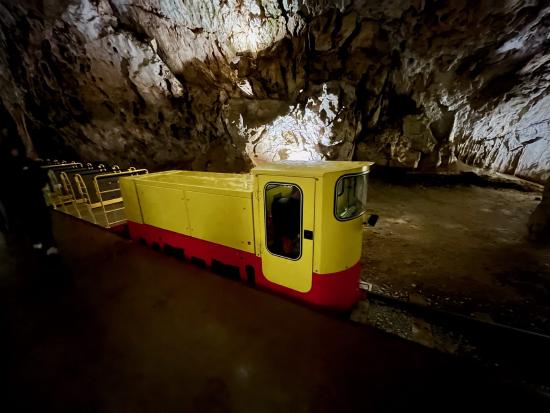 Die Schmalspurbahn in der Höhle von Postojna