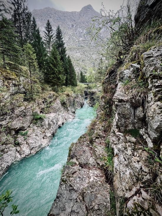 Das türkisblaue Wasser der Soča im Soča-Tal
