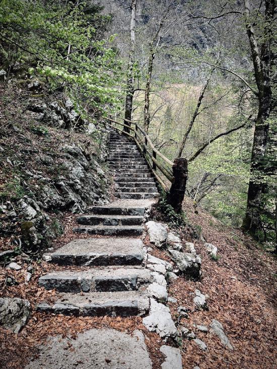 Die Treppe hinauf zum Savica Wasserfall