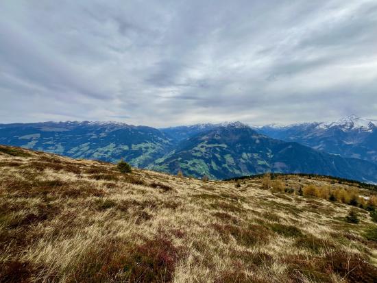 Almhang an der Zillertaler Höhenstraße mit Blick auf die Berggipfel