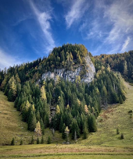 Waldhang im Wimmertal